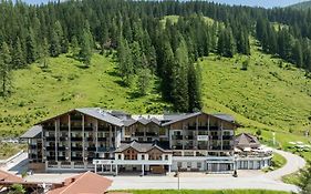 Hotel Alpenhof Zauchensee 4*